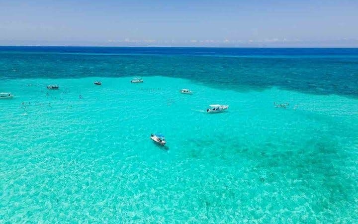 Cozumel El Cielo Starfish Sanctuary and Reefs Snorkel Tour with Fresh Ceviche Image 10