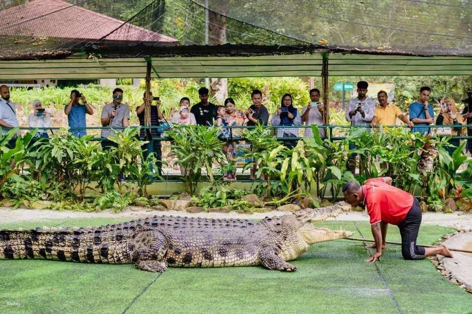 Crocodile Adventureland Langkawi Admission Ticket | Malaysia
