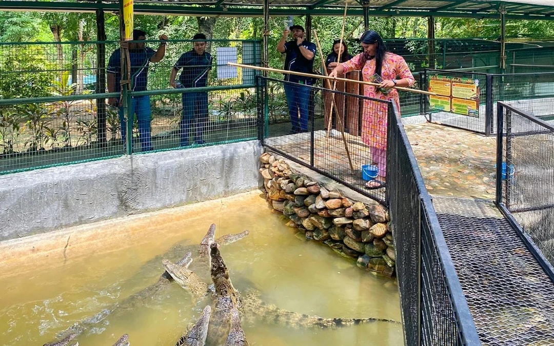 Crocodile Adventureland Langkawi Tickets Image 7
