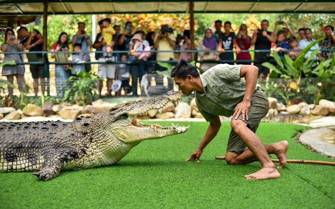 Crocodile Adventureland Langkawi Tickets Image 1