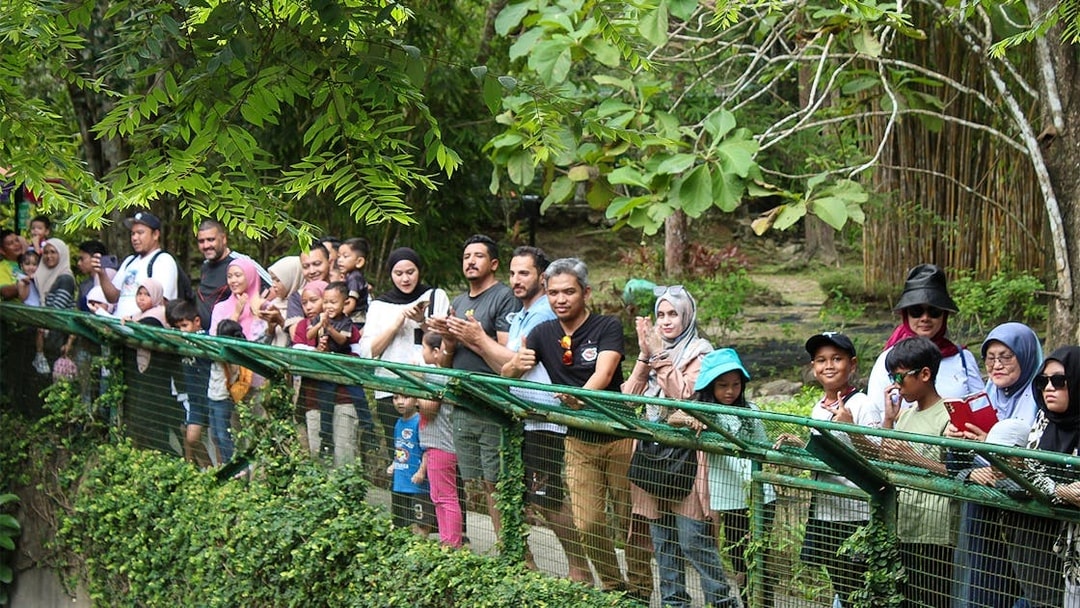 Visitors observing crocodiles at Crocodile Adventureland Langkawi.