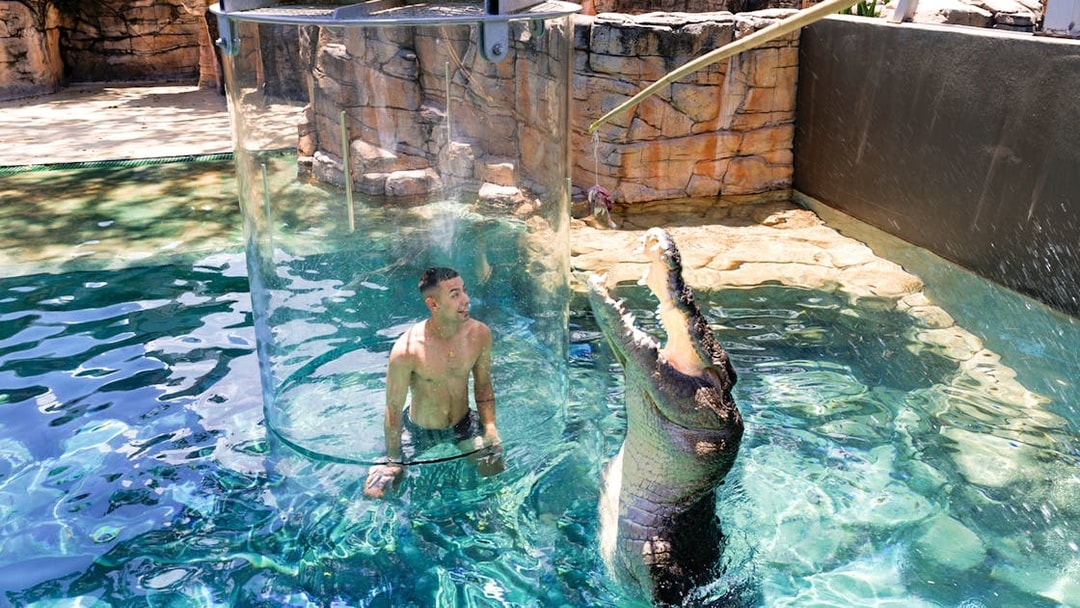 Guest in a glass enclosure with a crocodile at Crocosaurus Cove, Darwin.