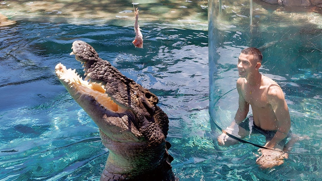 Man in clear enclosure with large crocodile at Crocosaurus Cove's Cage of Death, Darwin.