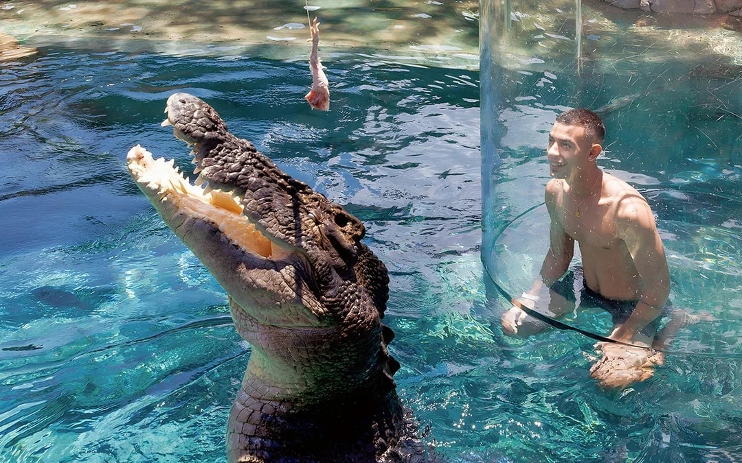 Crocosaurus Cove Tickets with Cage of Death Experience Image 7