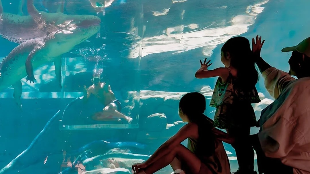 Visitors observing a diver in the Cage of Death with a crocodile at Crocosaurus Cove, Darwin.