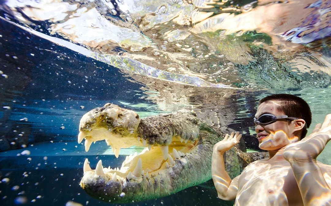 Crocosaurus Cove Tickets with Cage of Death Experience Image 8