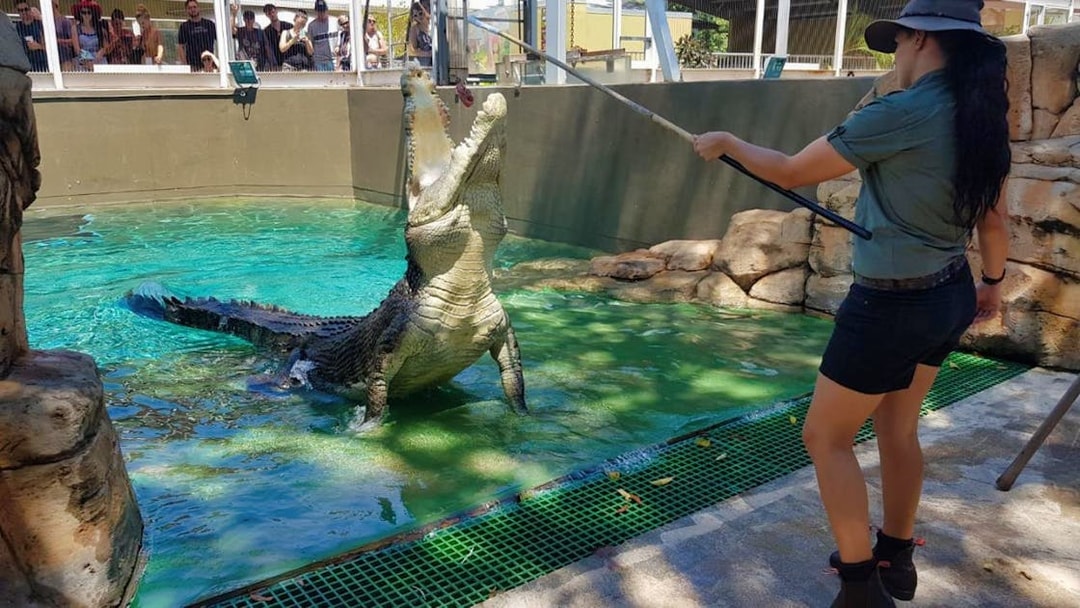 Crocodile feeding demonstration at Crocosaurus Cove, Darwin.
