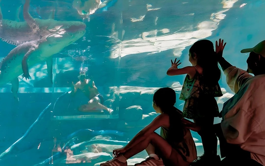 Crocosaurus Cove Tickets with Cage of Death Experience Image 9