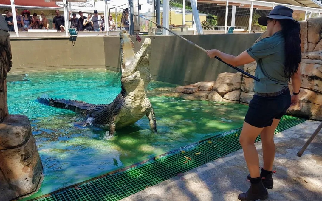 Crocosaurus Cove Tickets with Cage of Death Experience Image 10