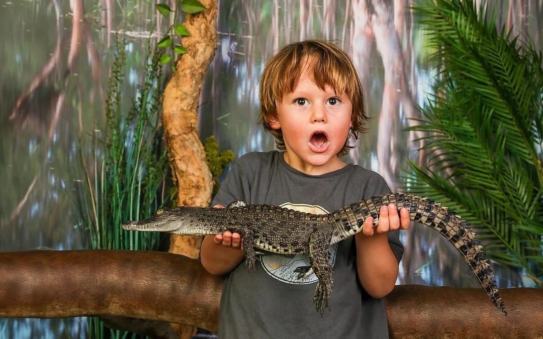 Crocosaurus Cove Tickets with Cage of Death Experience Image 3