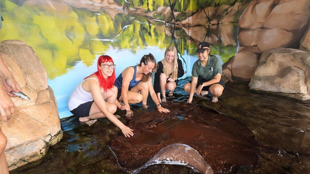 Visitors interacting with a whipray at Crocosaurus Cove.