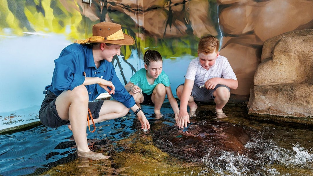Kids interacting with whiprays at Whipray Encounter, Crocosaurus Cove.