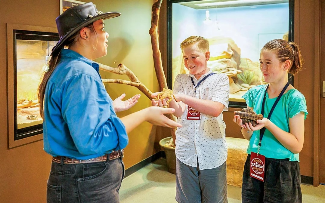 Crocosaurus Cove Tickets with Whipray Encounter Image 6
