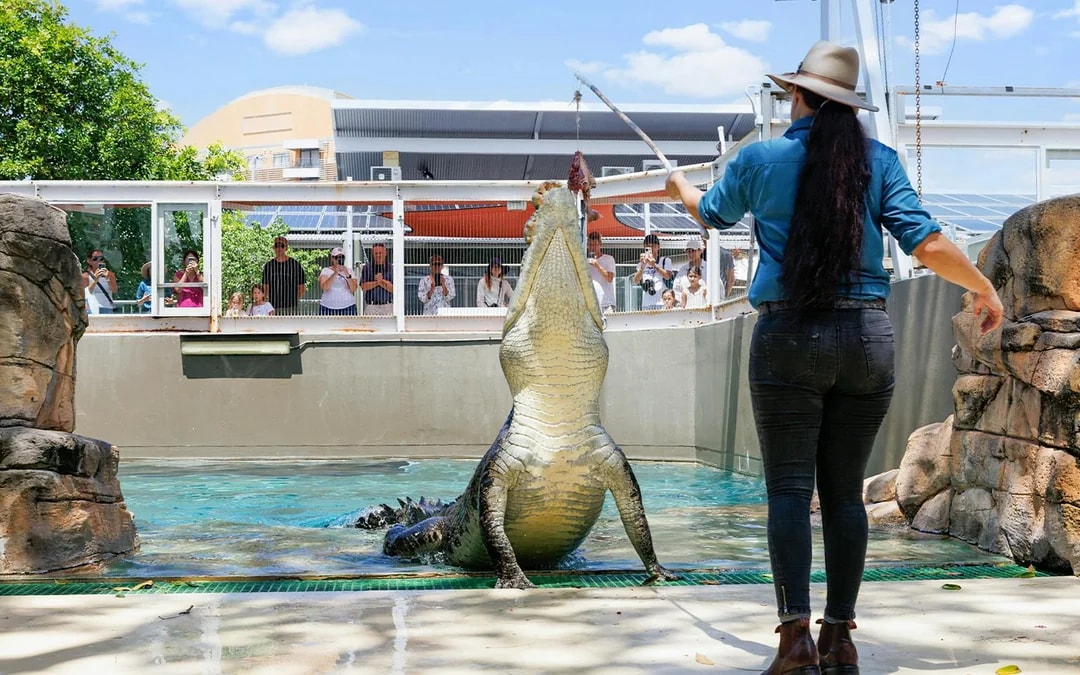 Crocosaurus Cove Tickets with Whipray Encounter Image 7