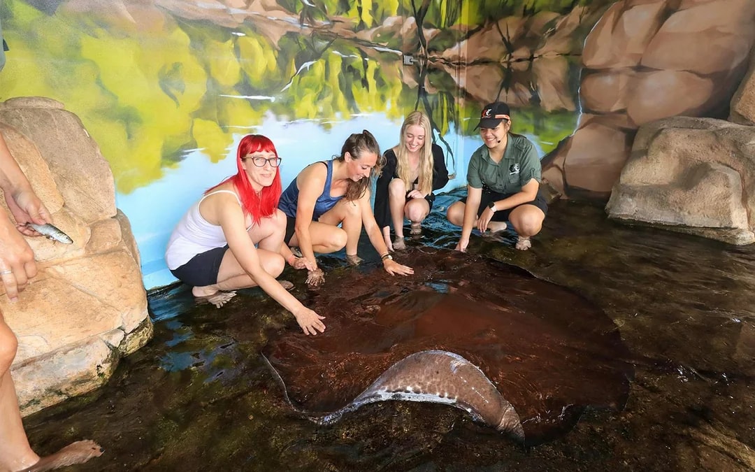Crocosaurus Cove Tickets with Whipray Encounter Image 1
