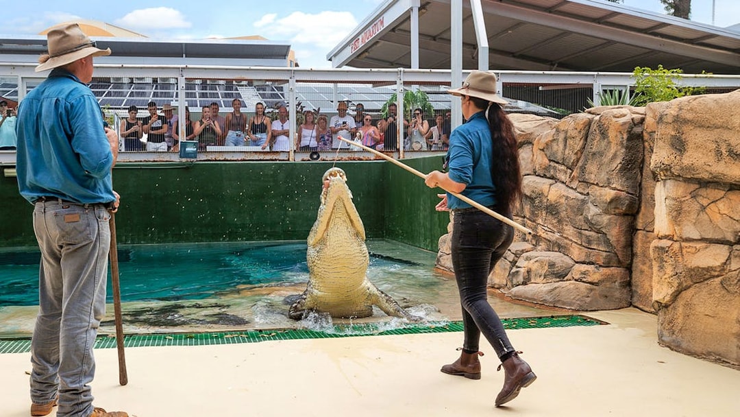 Handlers feeding a jumping crocodile at Crocosaurus Cove, Darwin, with spectators watching.