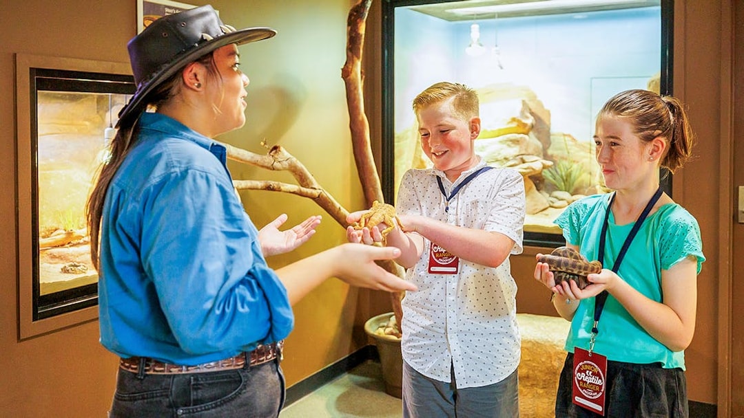 Crocosaurus Cove guide showing reptiles to children in Darwin, Australia.