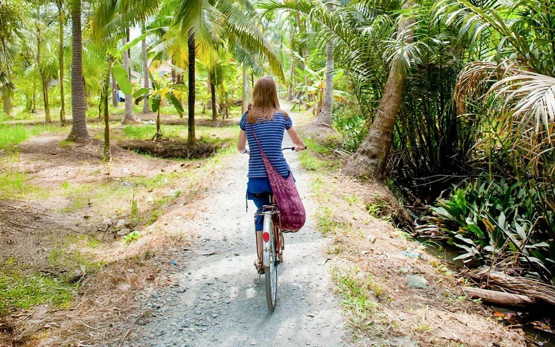 Cu Chi Tunnels & Mekong Delta with Coconut Village Full Day Tour Image 7