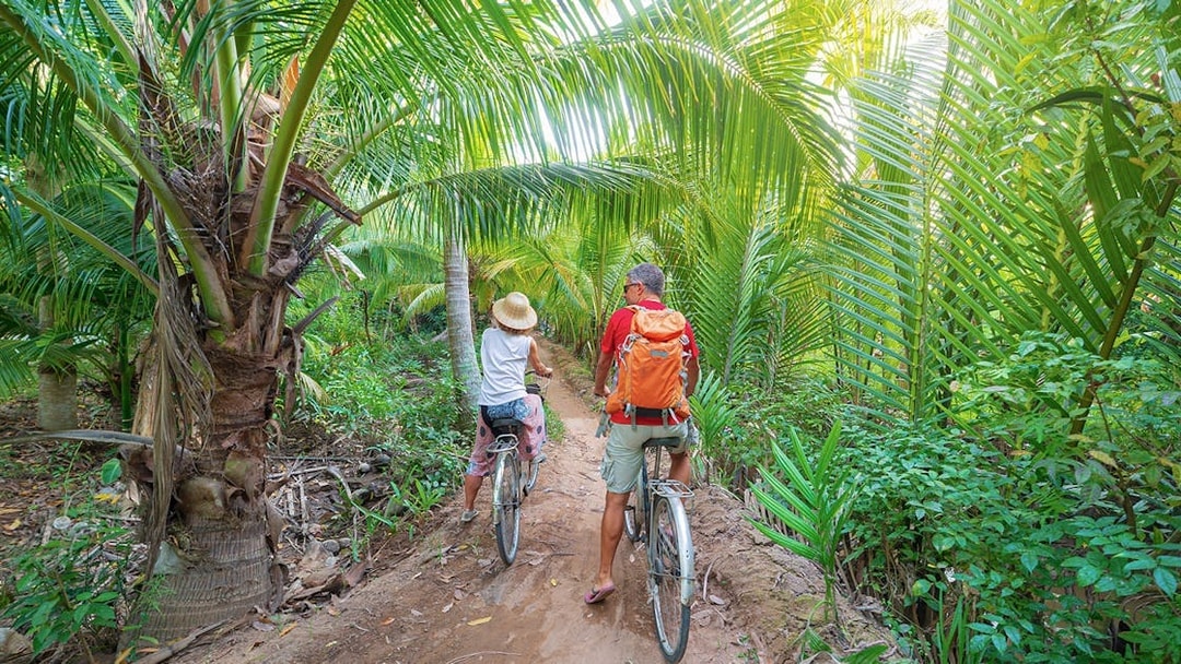 Tourists biking through lush palm trees in My Tho, Mekong Delta.