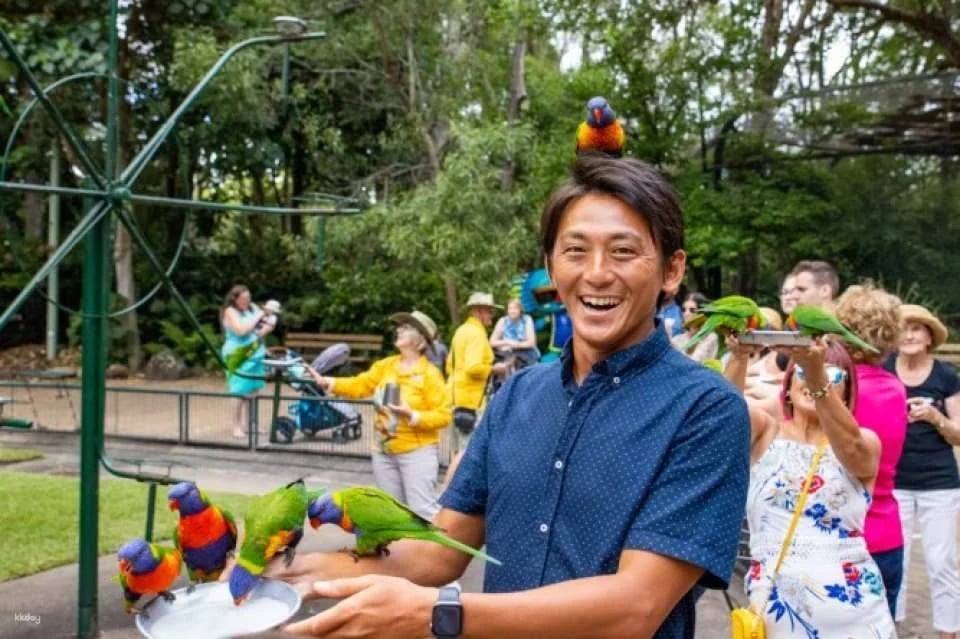 Currumbin Wildlife Sanctuary Ticket | Gold Coast