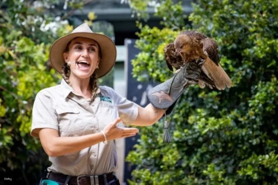 Currumbin Wildlife Sanctuary Ticket | Gold Coast