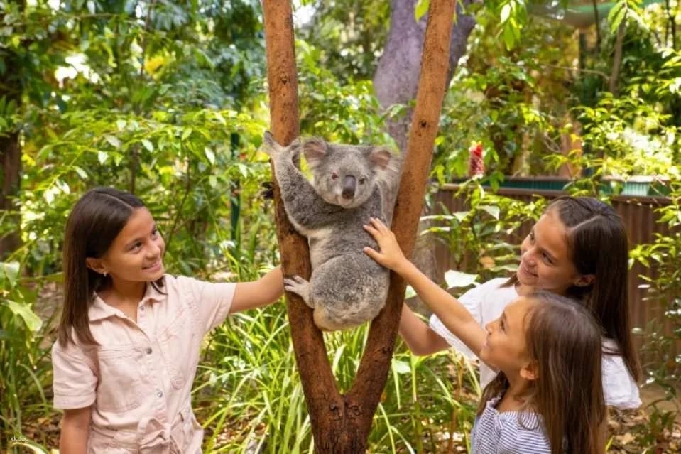 Currumbin Wildlife Sanctuary Ticket | Gold Coast