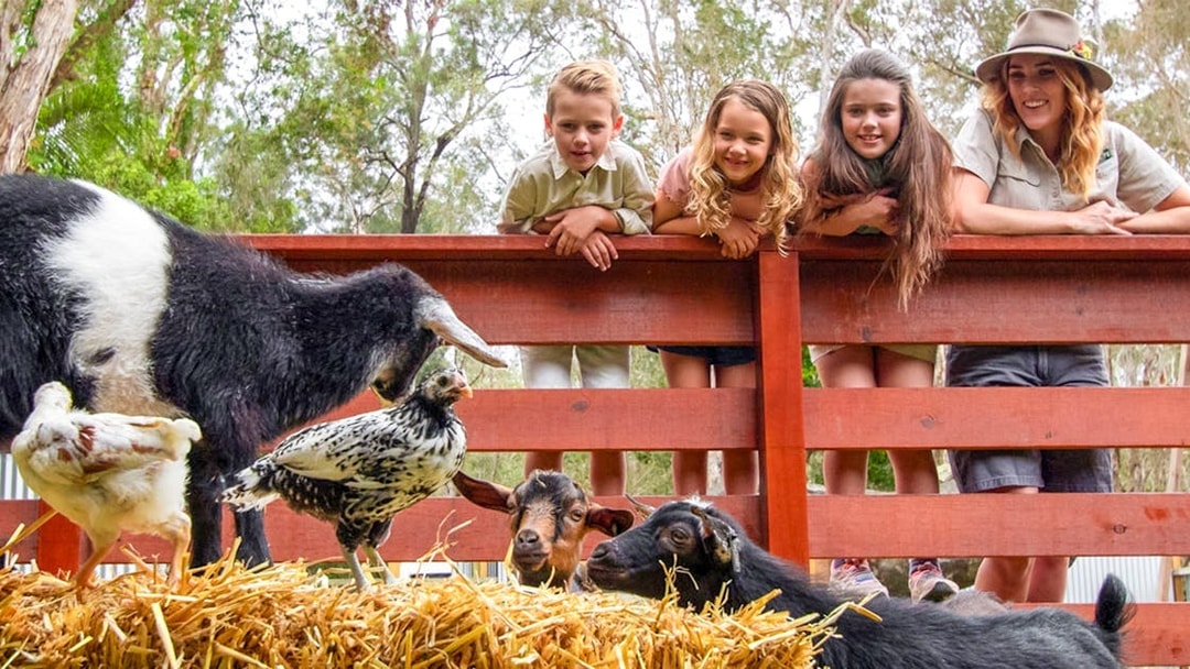 Children and a guide observe goats and chickens at Currumbin Wildlife Sanctuary.