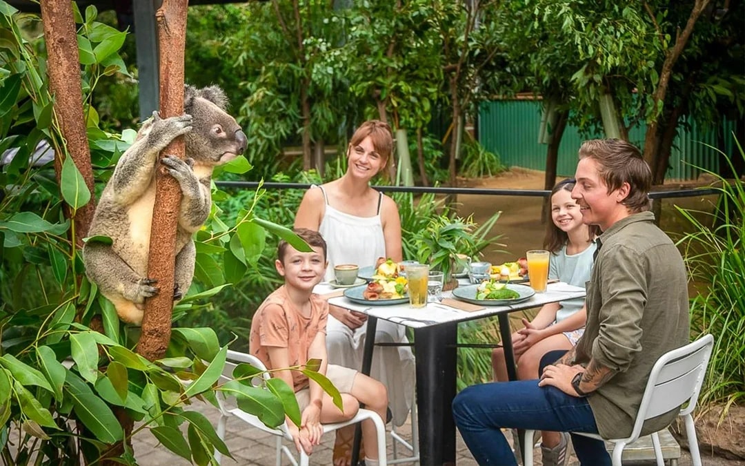 Currumbin Wildlife Sanctuary Tickets Image 2