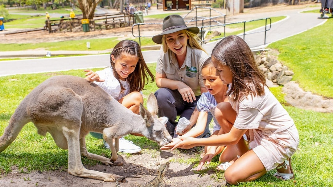 Children feeding a kangaroo at Currumbin Wildlife Sanctuary.