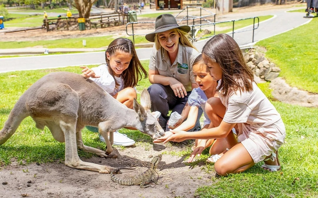 Currumbin Wildlife Sanctuary Tickets Image 4