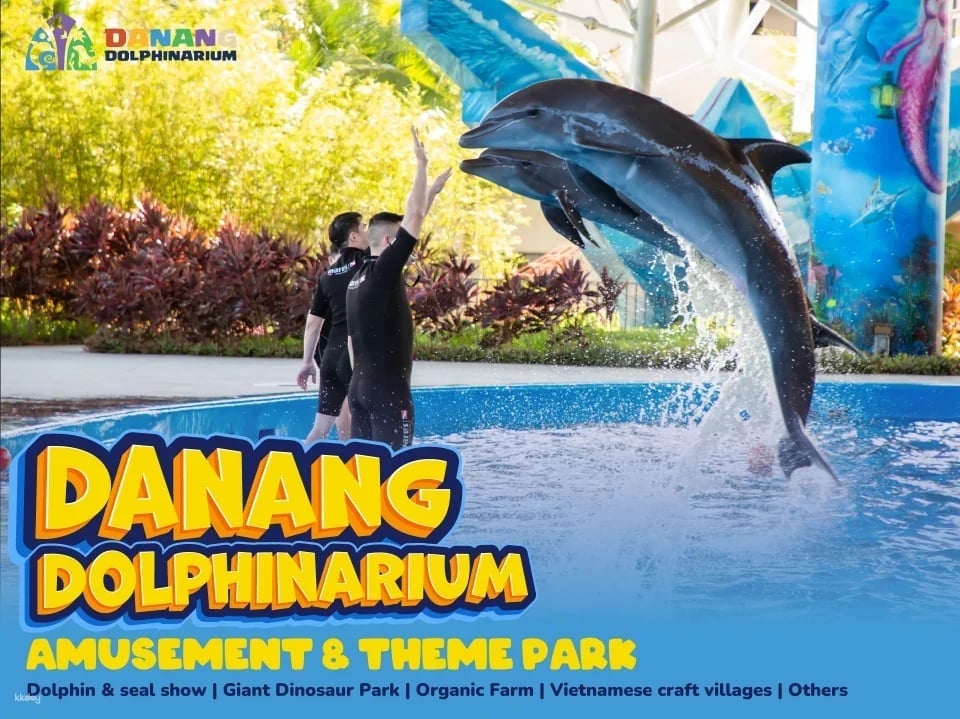 Da Nang Dolphinarium Theme Park Ticket | Da Nang