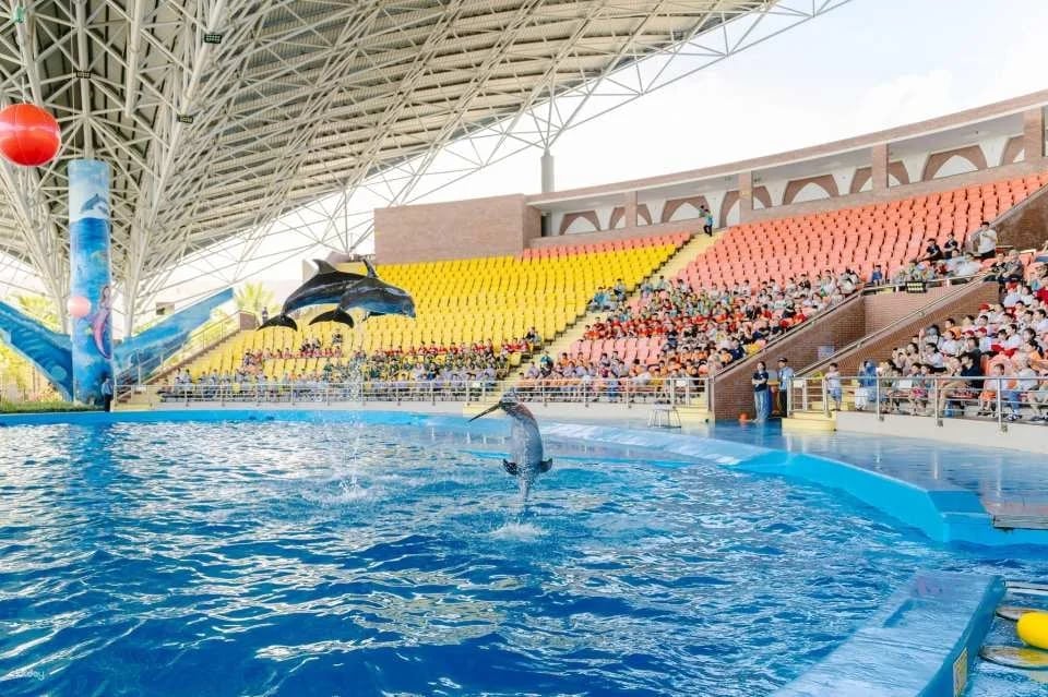 Da Nang Dolphinarium Theme Park Ticket | Da Nang