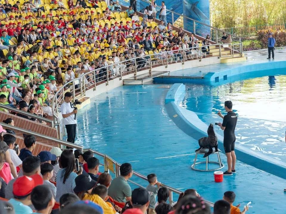 Da Nang Dolphinarium Theme Park Ticket | Da Nang
