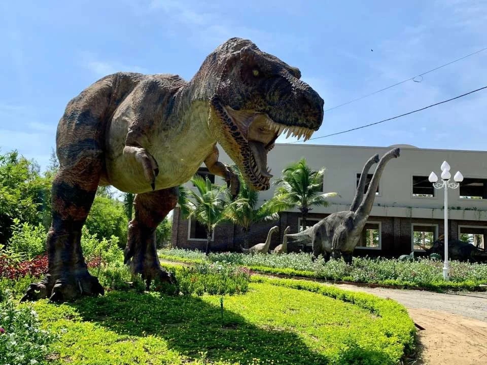 Da Nang Dolphinarium Theme Park Ticket | Da Nang