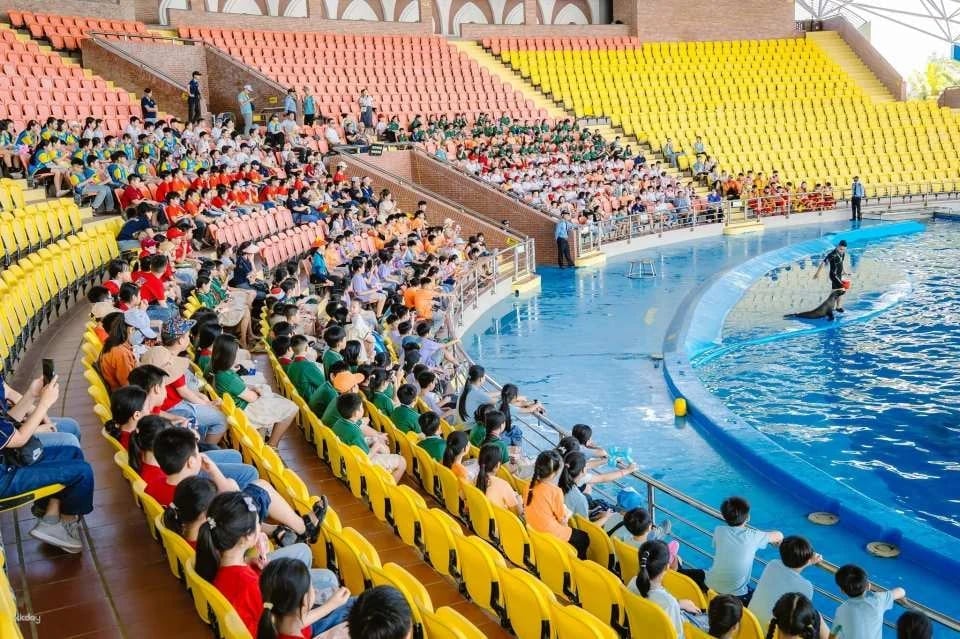 Da Nang Dolphinarium Theme Park Ticket | Da Nang