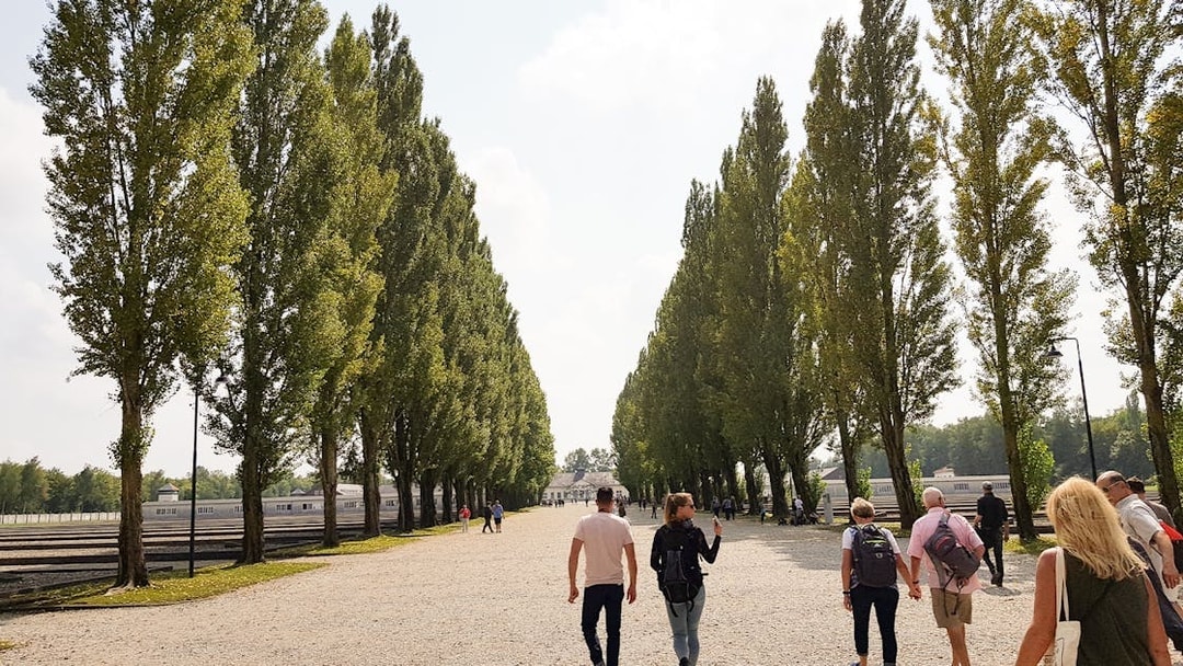 Visitors walking along tree-lined path at Dachau Concentration Camp Memorial Site.