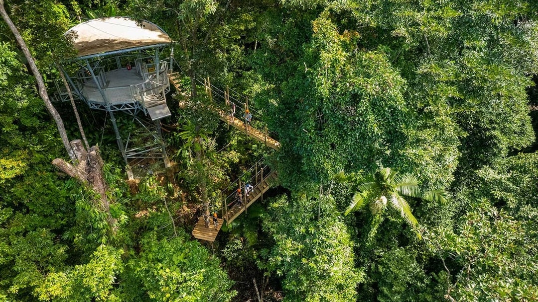 Zipline platforms in Daintree Rainforest canopy tour.