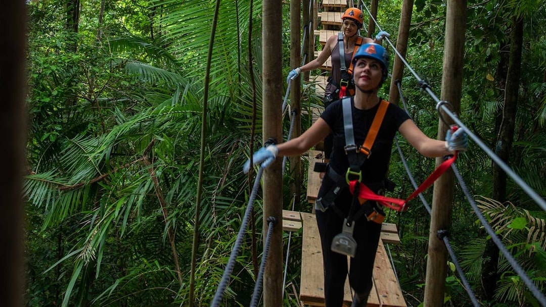Participants on a zipline tour in Daintree Rainforest, Australia.