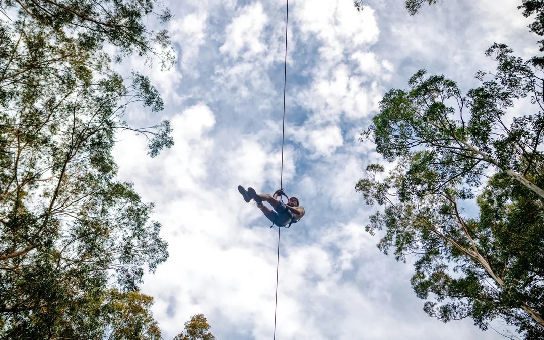 Treetops Adventure Zipline Cape Tribulation Canopy Tour Image 6