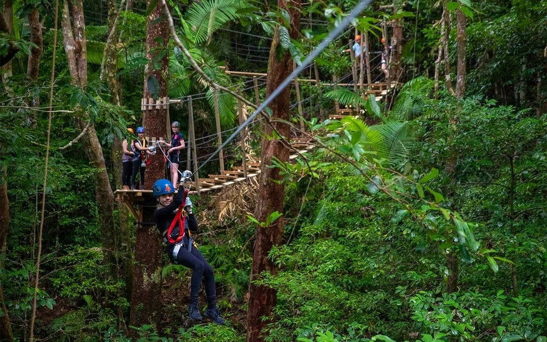 Treetops Adventure Zipline Cape Tribulation Canopy Tour Image 7