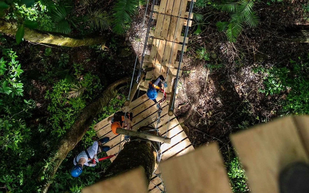 Treetops Adventure Zipline Cape Tribulation Canopy Tour Image 10