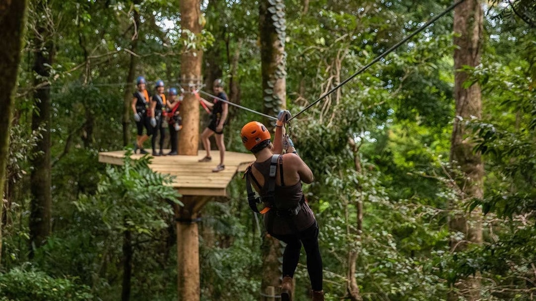 Person ziplining through Daintree Rainforest with group on platform in background.
