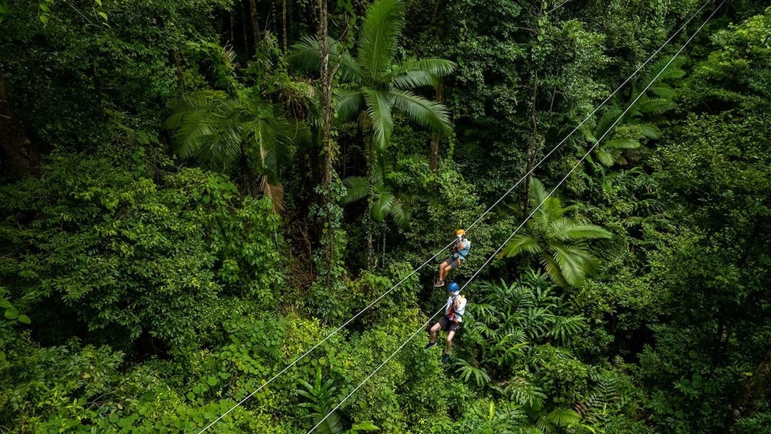 Ziplining through lush Daintree Rainforest canopy in Australia.