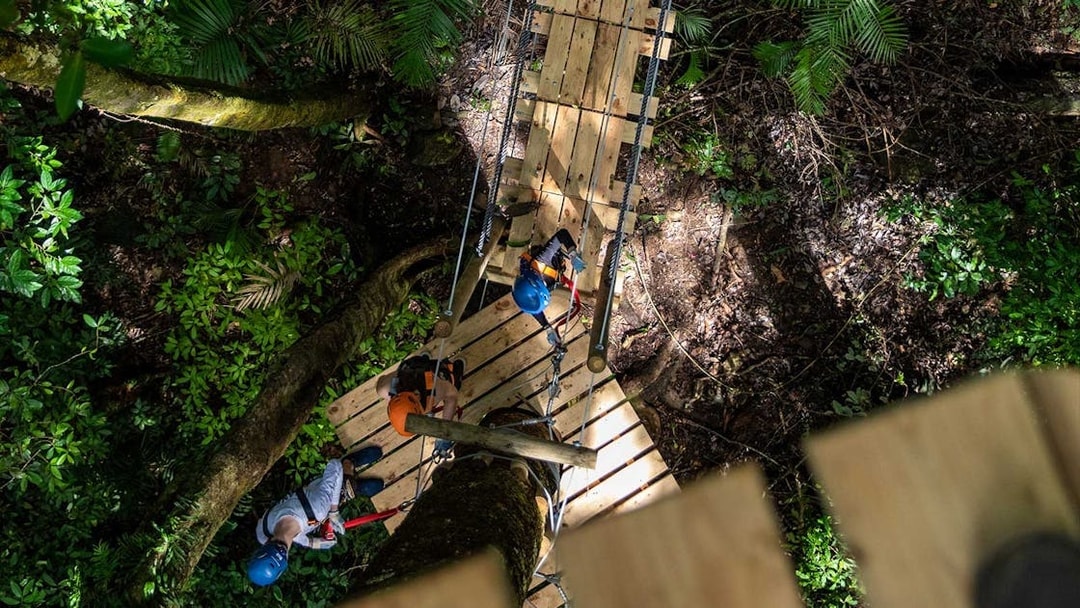 Participants on a zipline platform in Daintree Rainforest, Australia.