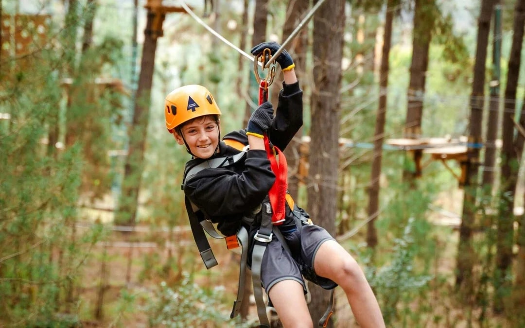 Treetops Adventure Zipline Cape Tribulation Canopy Tour Image 4