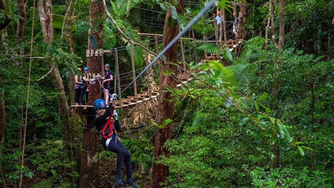 Treetops Adventure Zipline Cape Tribulation Canopy Tour