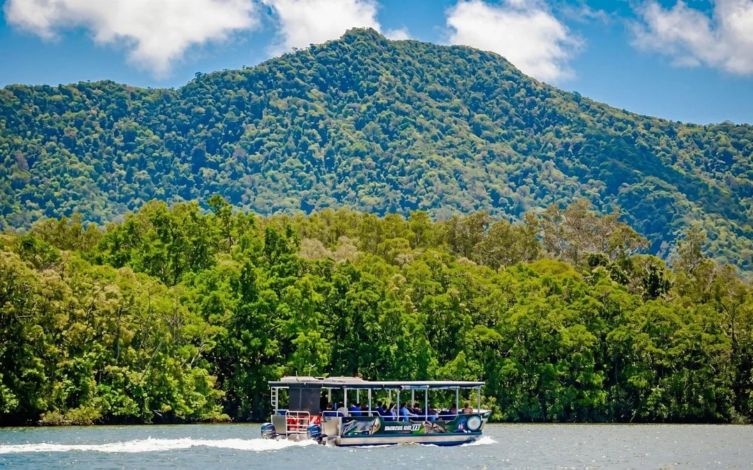 Daintree River Guided Crocodile & Wildlife Experience Cruise Image 1