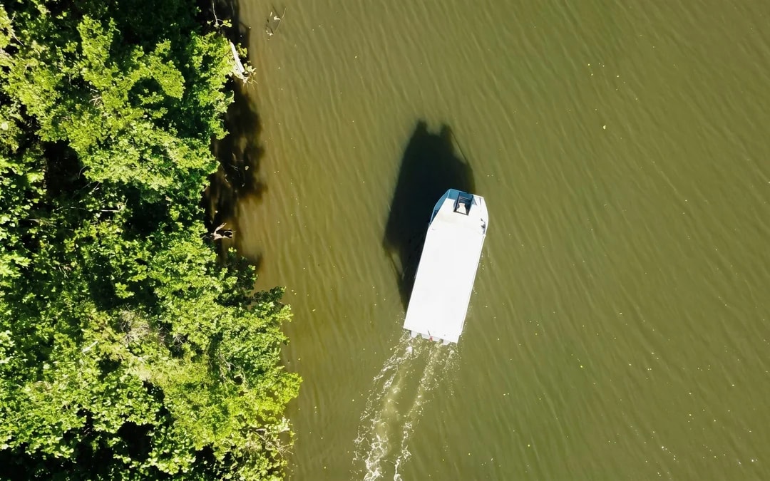Daintree River Guided Crocodile & Wildlife Experience Cruise Image 7