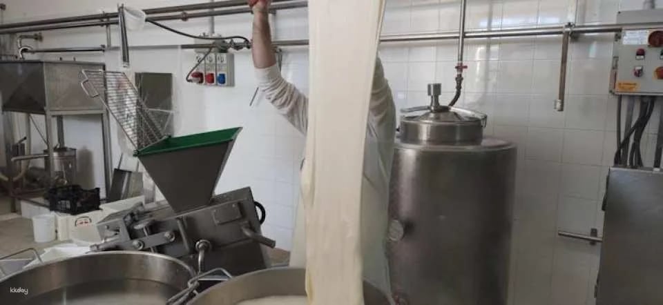 Dairy tour and cheese tasting in the Itria Valley