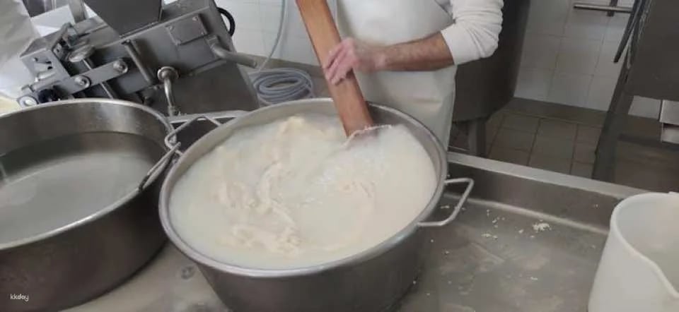 Dairy tour and cheese tasting in the Itria Valley